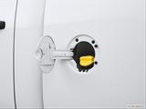  Gas cap open photo